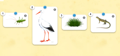 0300d08q-5663-466x218.png