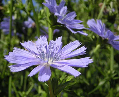 0300d38f-f55b-391x319.png