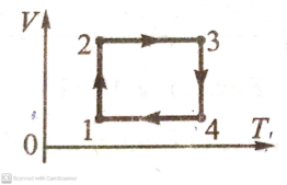 0300d3dd-6456-262x169.png