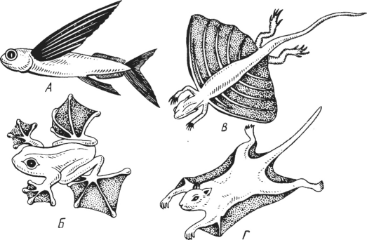 0300d7os-fabd-523x342.png