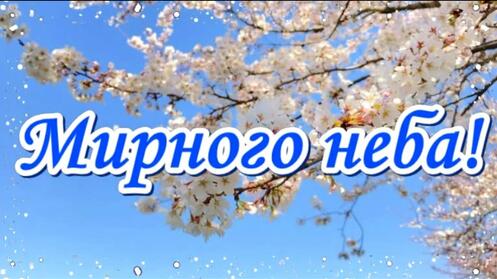 0300d7t2-928e-497x279.jpg