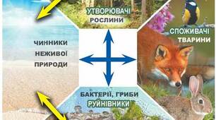 Досліджуємо екосистеми
