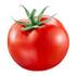 Tomato - Savera Fresh