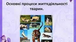 Контрольний тест: "Процеси життєдіяльності тварин"