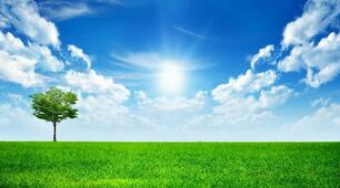 Care About Environment
