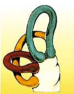 0300dak7-af10-149x188.png
