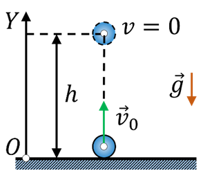 0300dgac-572c-294x247.png