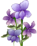 0300dhx6-321e-128x159.png