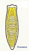 0300dnx1-2420-97x169.jpg