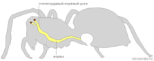0300dnxa-b417-208x83.png