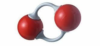0300do6u-206a-332x152.jpg