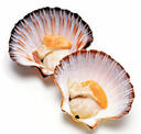 0300donv-8776-128x122.jpg
