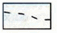0300dpev-8a20-57x33.png