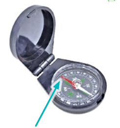 0300dpgc-76a6-246x264.png