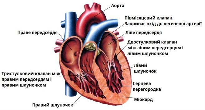 0300dpjk-2cd3-658x355.jpg