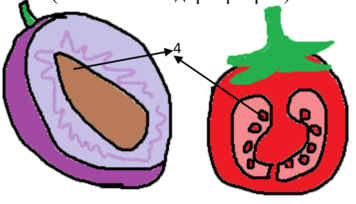0300dq6i-b04b-356x204.png