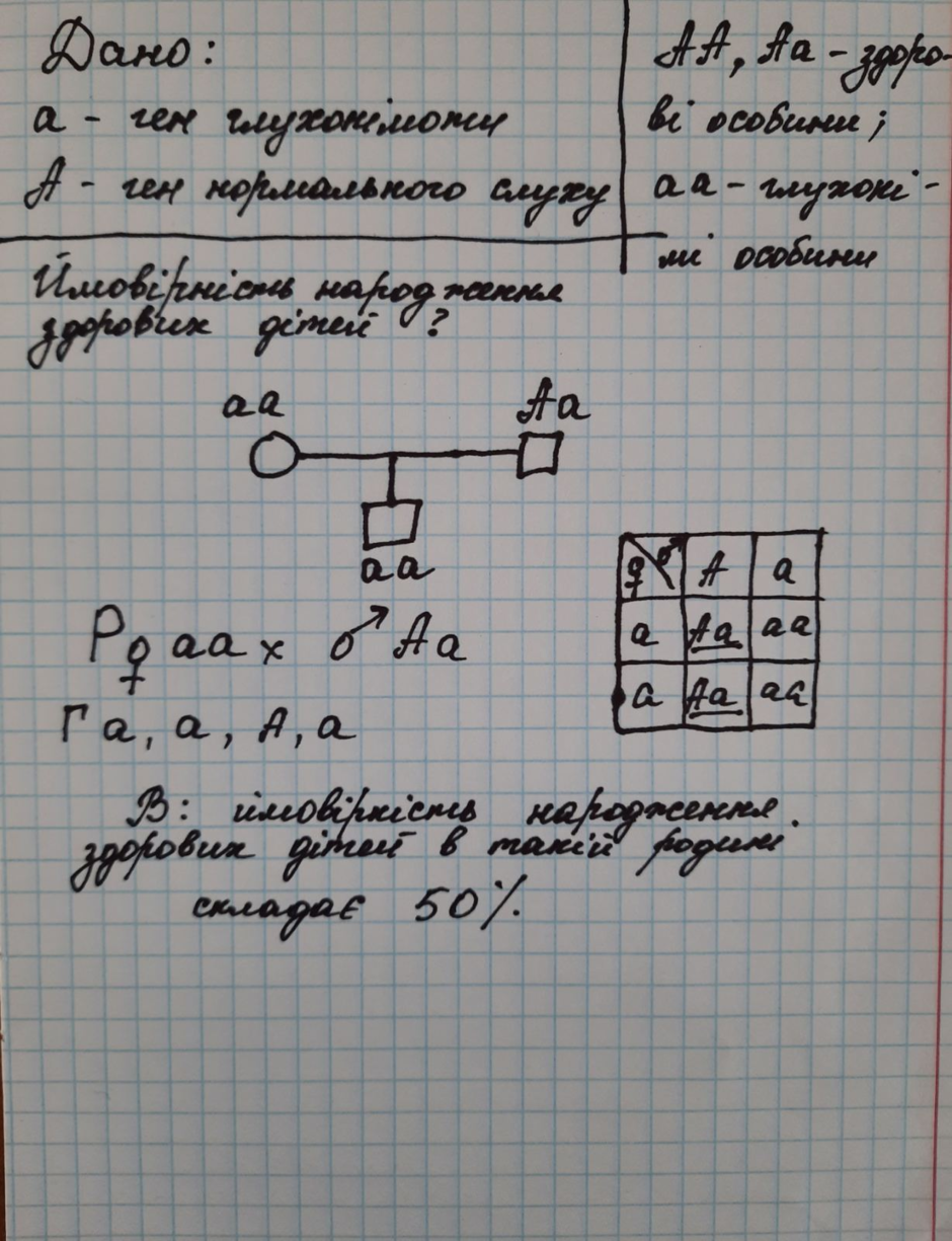 0300dqtx-53e8-940x1225.png