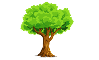 0300e0o5-a359-395x242.png