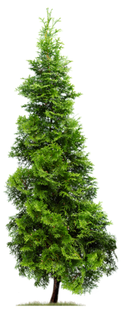 0300e1he-95b4-197x454.png