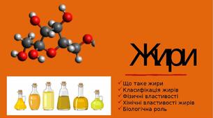Жири