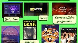 Kinds of programmes