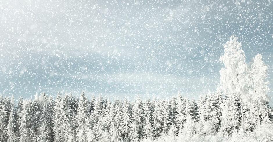 Winter background with snowy weather in the forest Stock Photo by ©karidesign 98723840