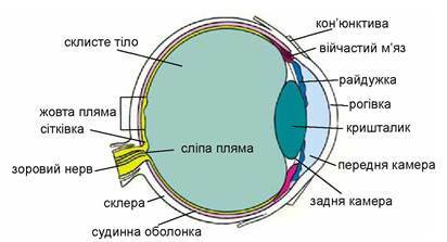 0300eeol-6fe6-412x223.jpg