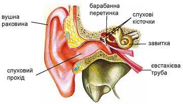 0300egzy-ea9a-361x205.jpg