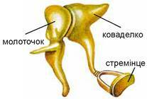 0300eh0g-22f2-207x140.jpg