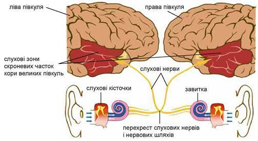0300eh11-3e90-504x276.jpg
