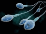 0300ehk6-ba66-156x117.png