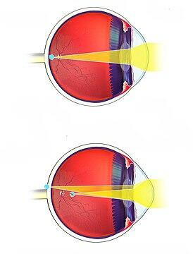 0300ehmk-92ee-274x360.jpg