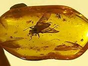 0300ehxa-b056-177x133.jpg