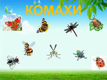 0300eky1-6b9e-209x157.jpg
