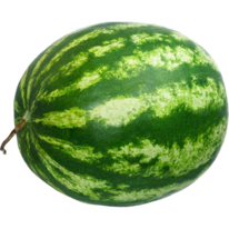 0300elwa-ff99-500x500.png