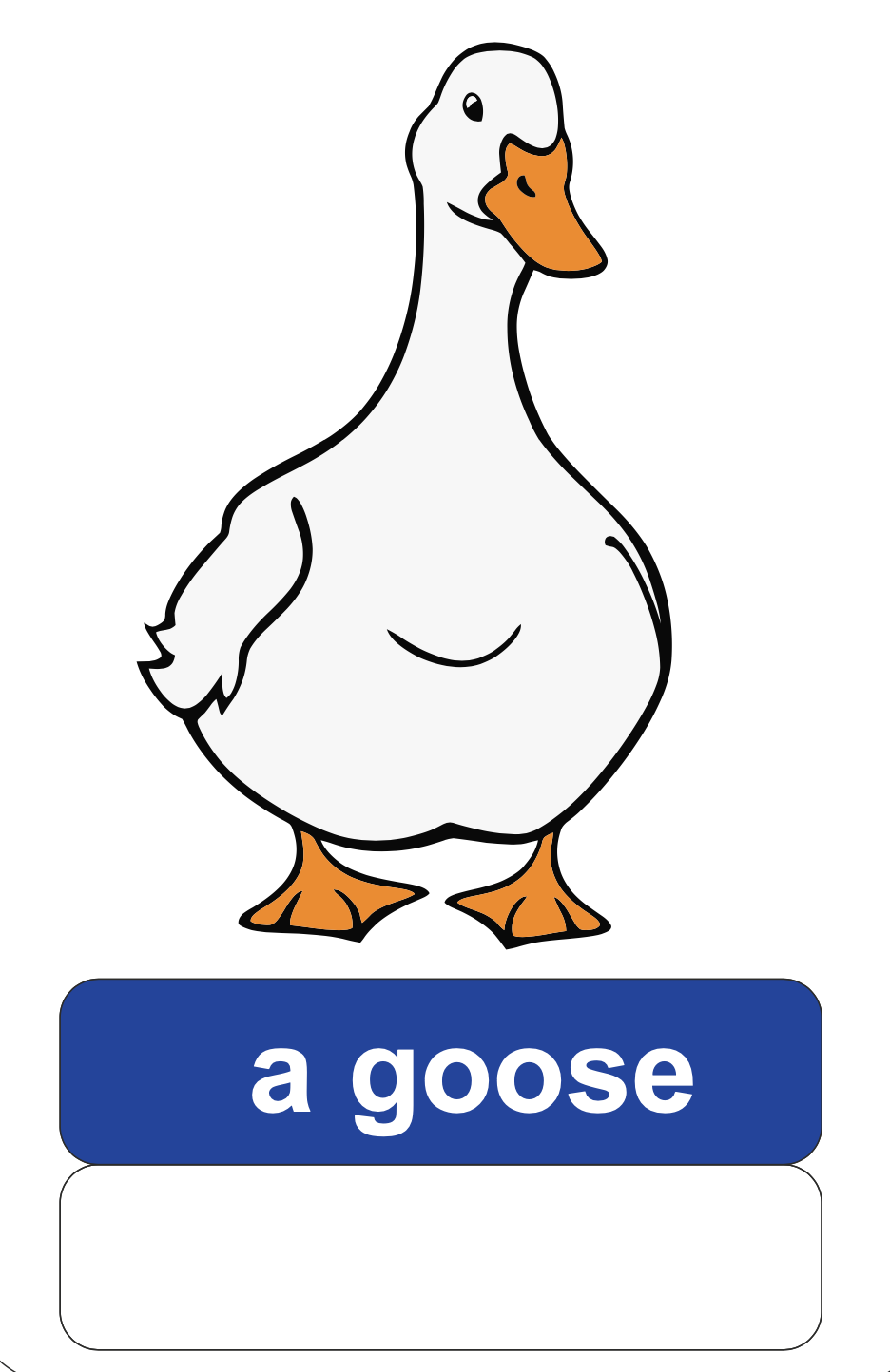 0300emin-78d4-936x1444.png