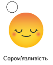 0300en7n-ceba-110x133.png