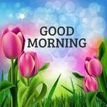 Приложения в Google Play – Good Morning Images App - Good Morning Messages