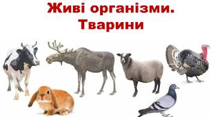 (Копія) Діагностувальна робота за темою "Живі організми. Тварини".
