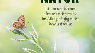 Die Natur um uns herum