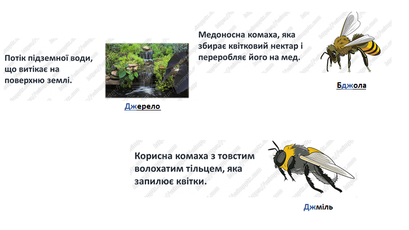 0300exq8-30f3-800x450.png