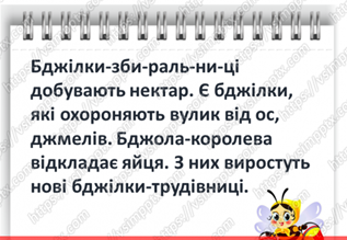 0300exqb-684e-317x219.png