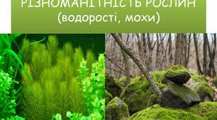 РІЗНОМАНІТНІСТЬ РОСЛИН