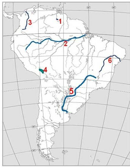 0300f2tt-b1c0-439x566.jpg