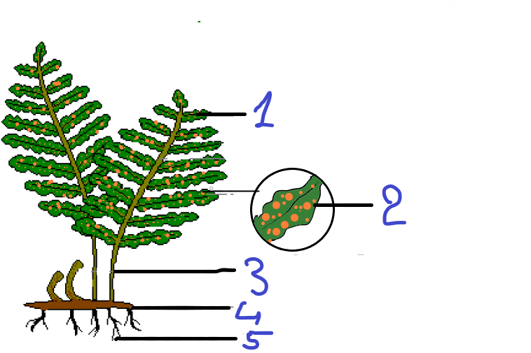 0300f2ve-4457-758x505.png