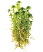 0300f5jx-5057-142x170.png