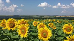 Природа України