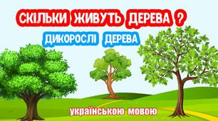 Дикорослі дерева