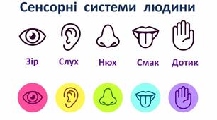 Сенсорні системи (Аналізатори)