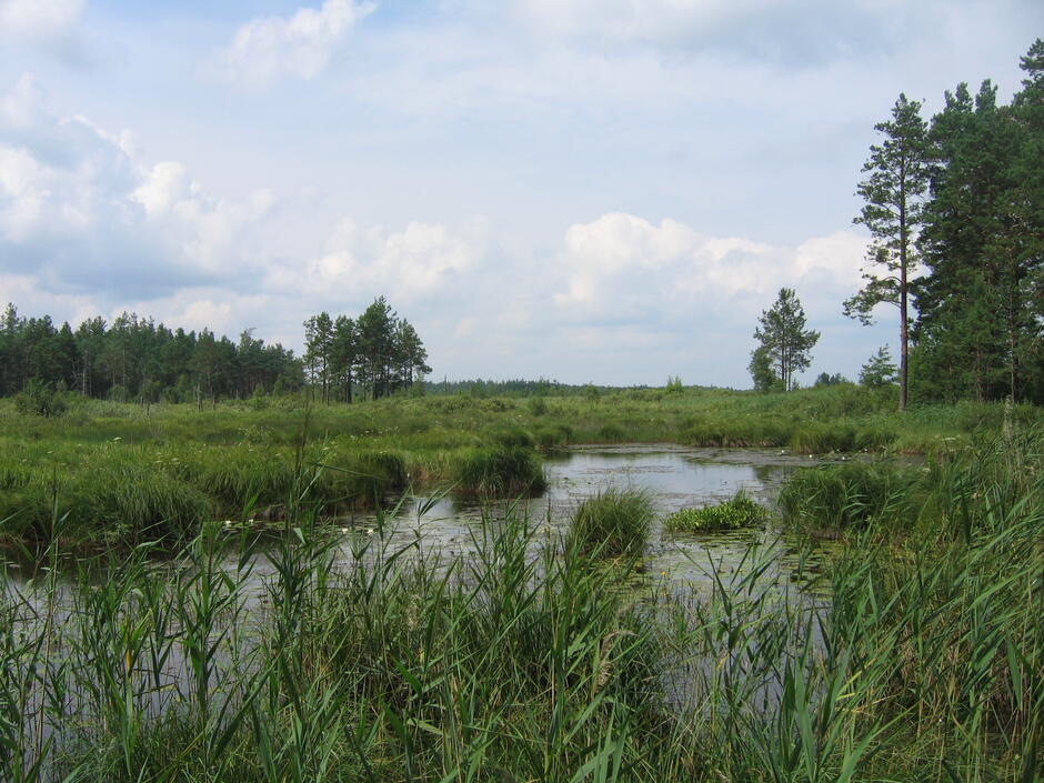 0300f6km-c677-940x705.jpg